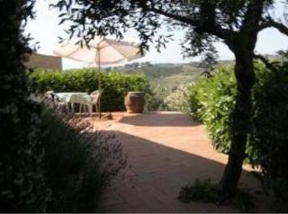 Agriturismo Bio Fattoria Bacio Certaldo Εξωτερικό φωτογραφία